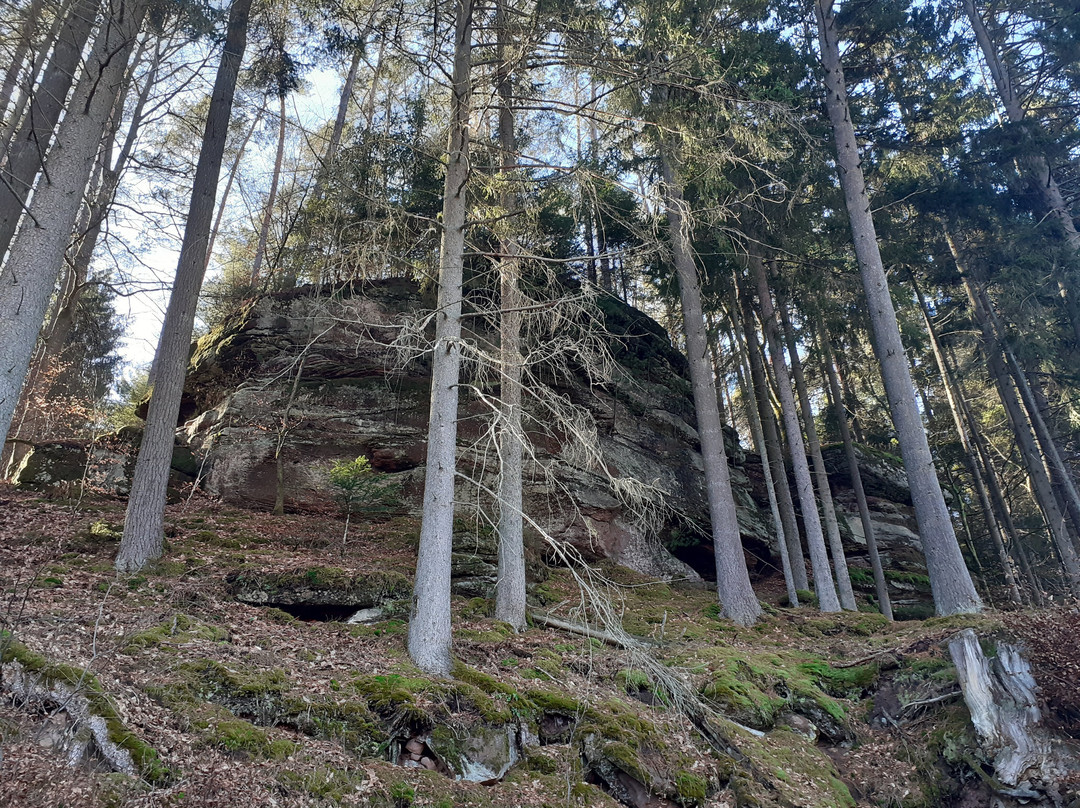 Dahner Felsenwanderweg-Dahn必去景点
