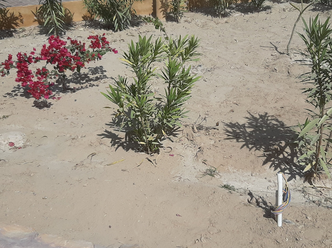 Welcomheritage Mohangarh Fort主图