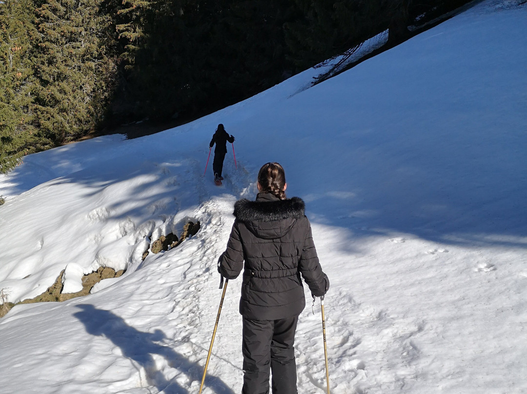 Virage Montagne-霞慕尼必去景点