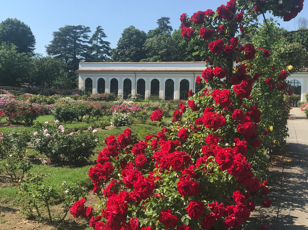 Roseto Niso Fumagalli景点图片