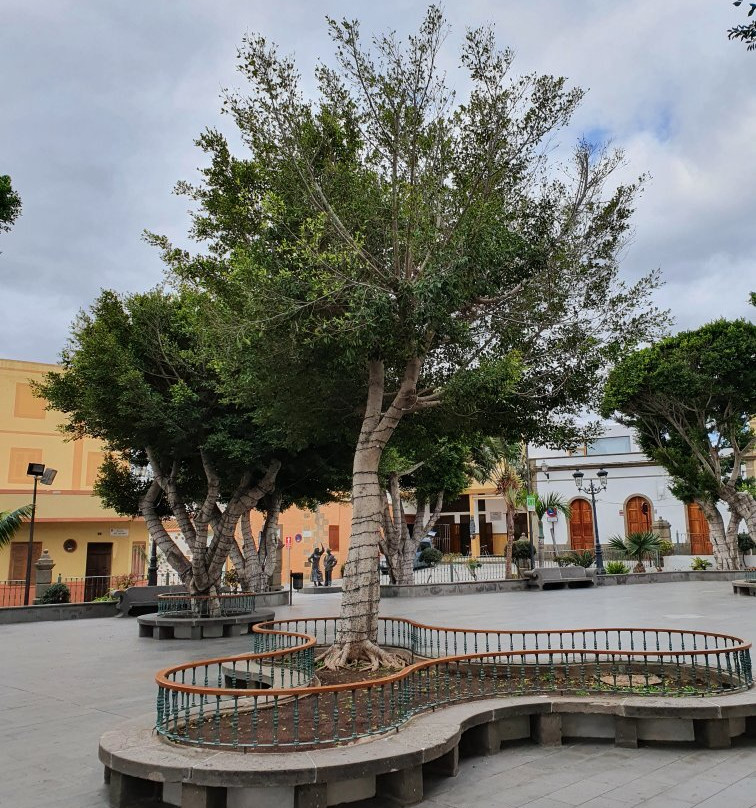 Plaza Del Rosario景点图片
