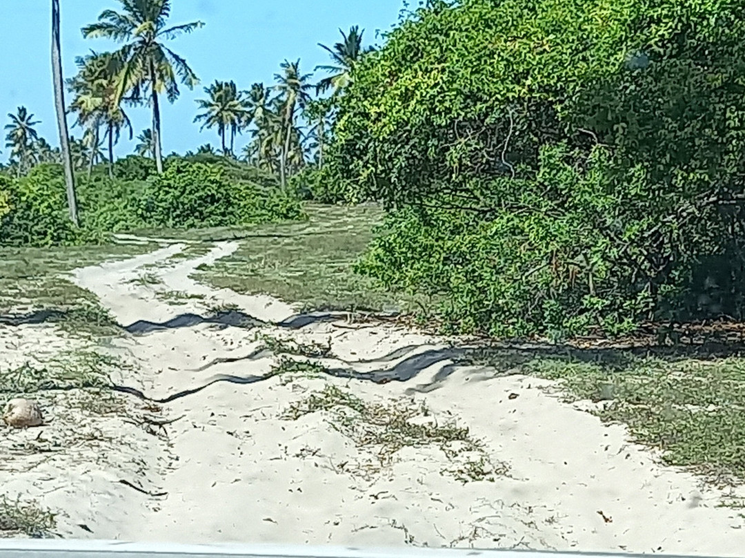 Baixio Turismo-Praia do Baixio必去景点