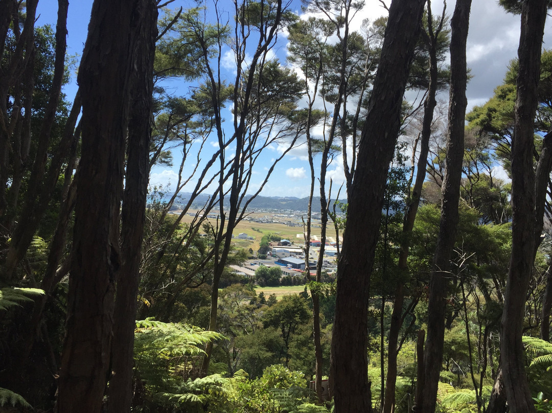 Whitianga Bike Park-菲蒂昂格必去景点