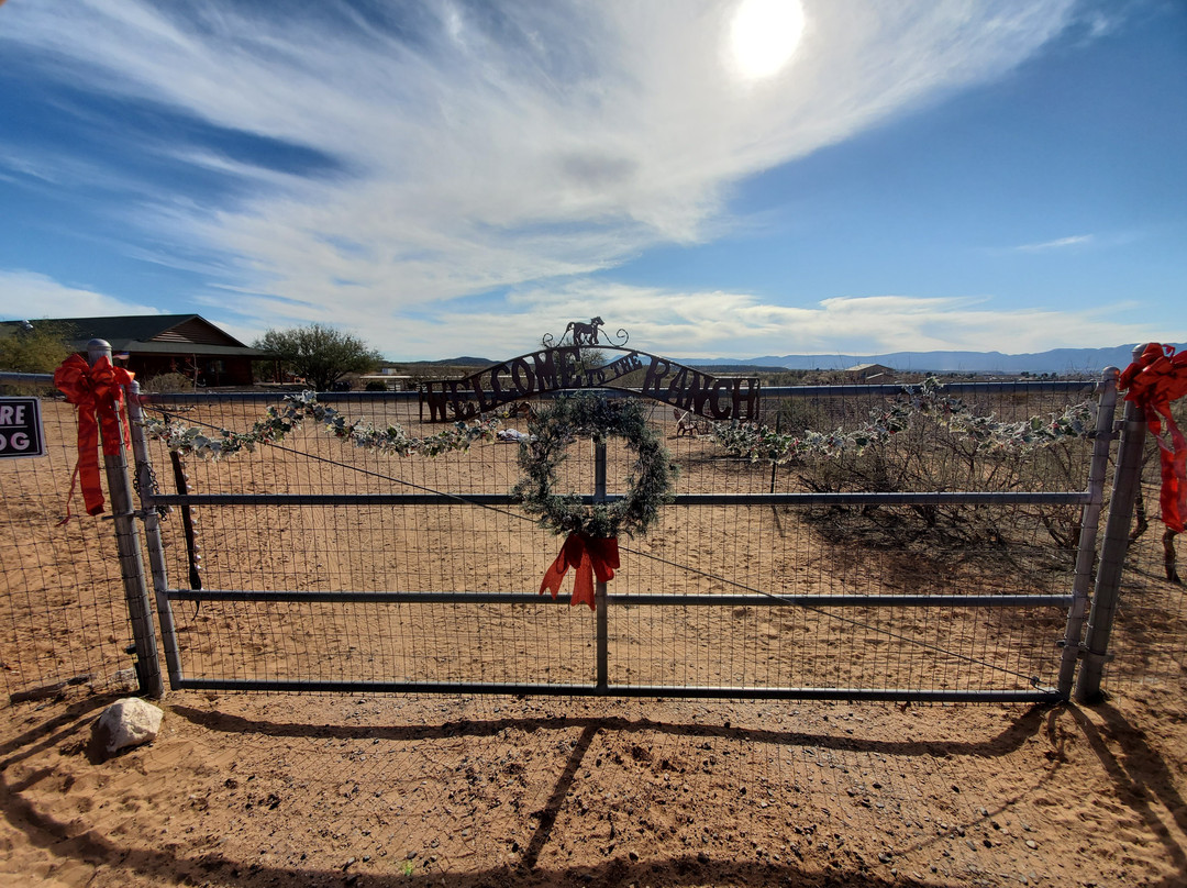 Harmony Acres Ranch & Petting Farm-Cornville必去景点