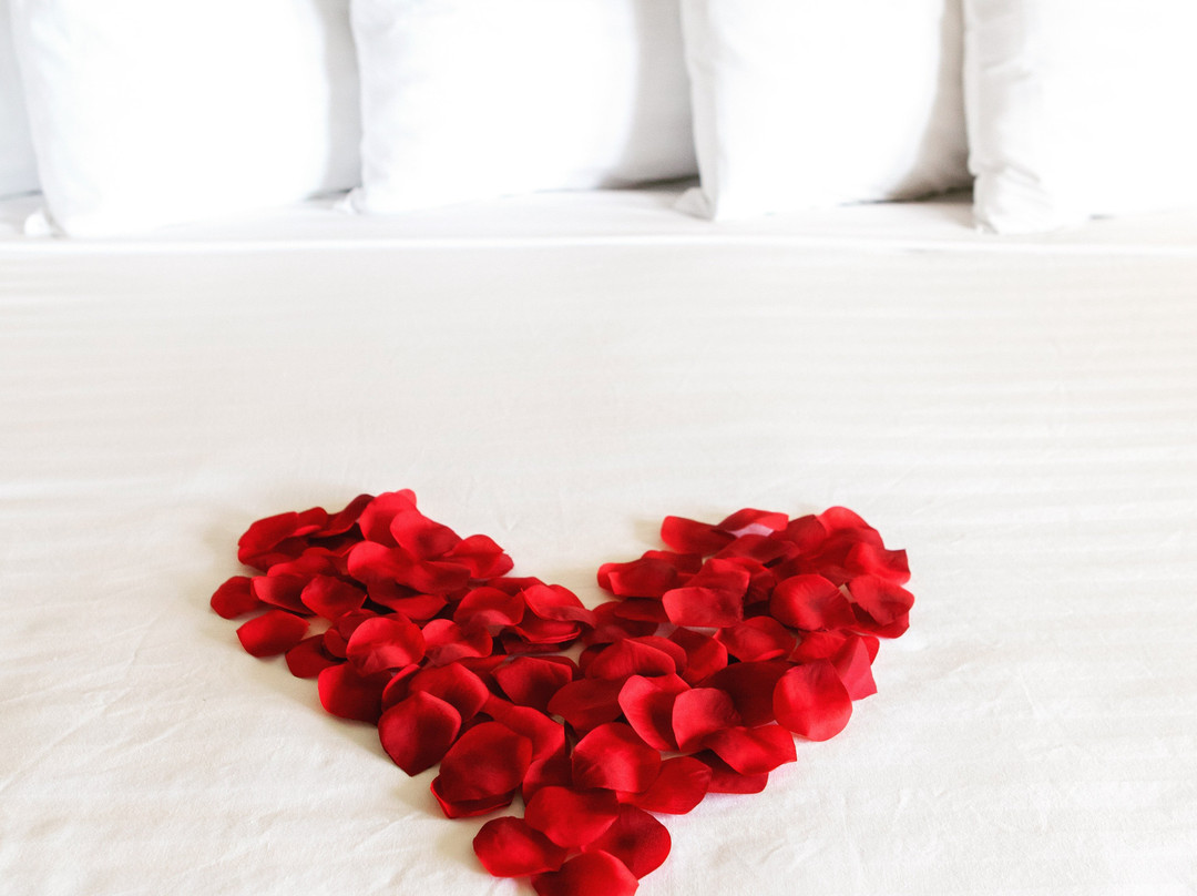 Emerald Dolphin Inn & Mini Golf主图