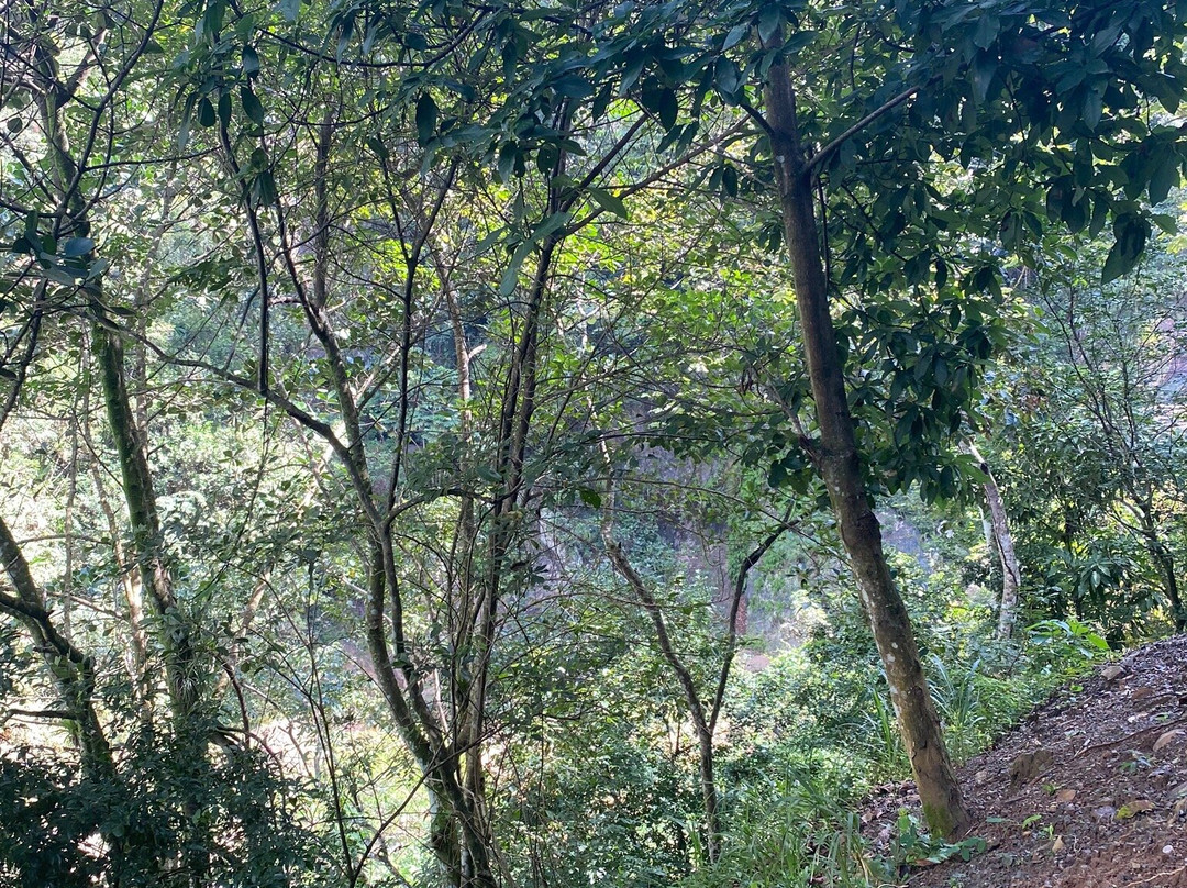 Baiguate Salto Waterfall景点图片