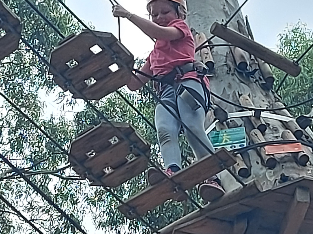 TreeClimb Adelaide-阿德莱德必去景点