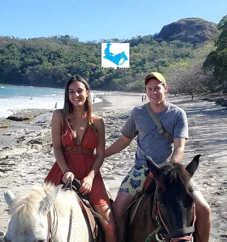Pacific Horses景点图片