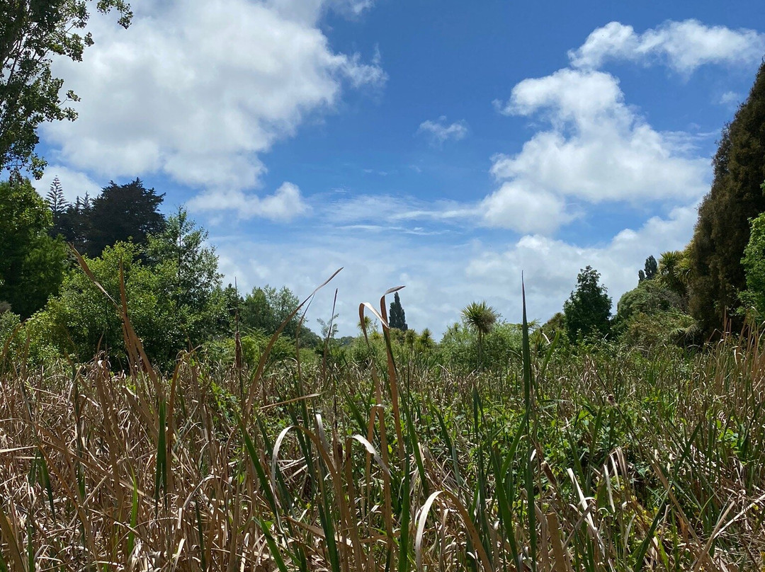 Johnson Reserve-陶兰加必去景点