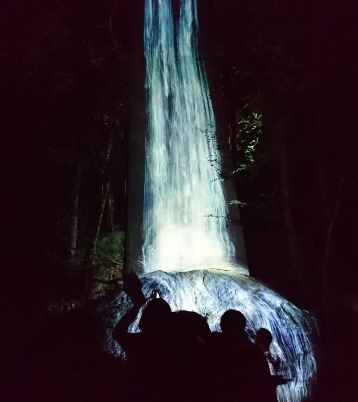 teamLab: A Forest Where Gods Live-武雄市必去景点