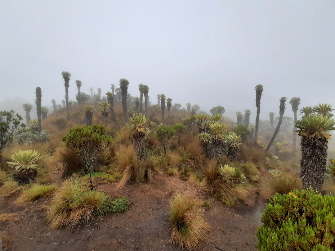 DESTINOS Y RUTAS DE COLOMBIA-Manizales必去景点