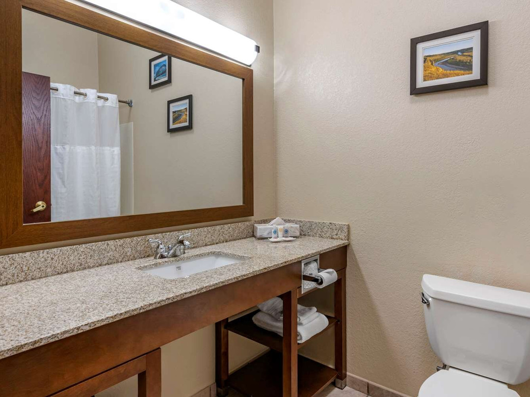 Comfort Inn & Suites主图