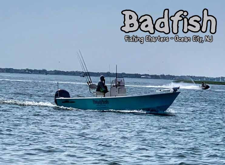 Badfish Fishing Charters-Somers Point必去景点