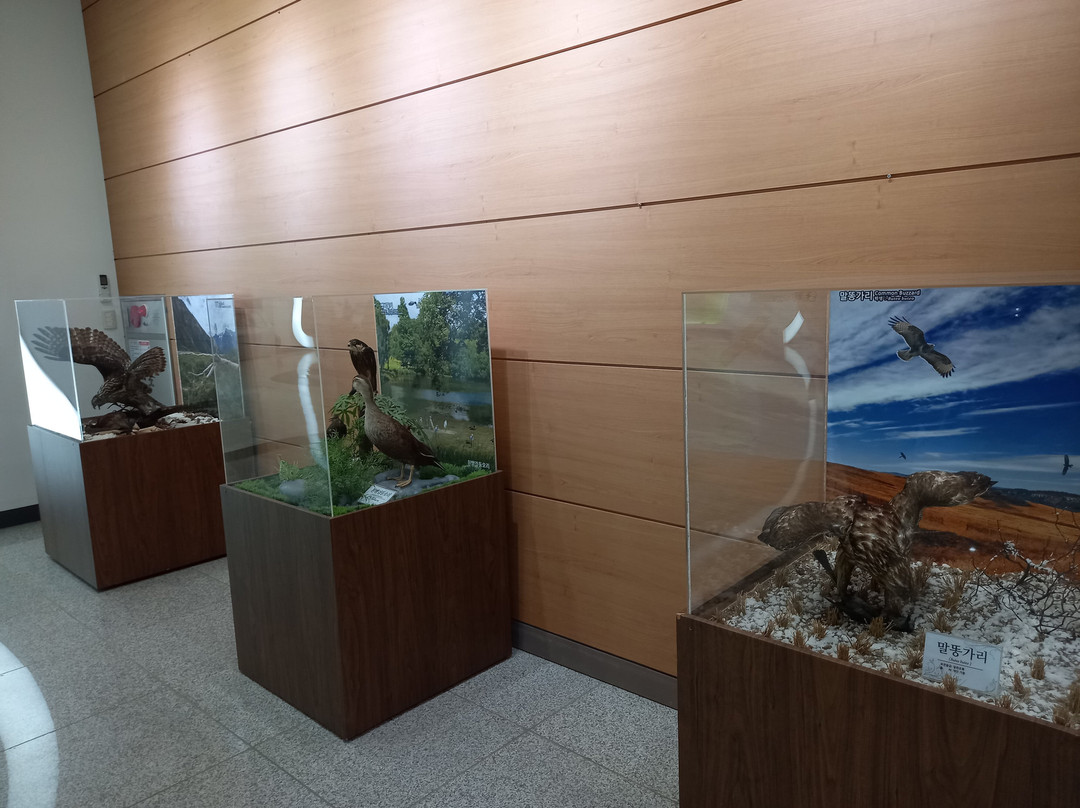 Mungyeong Ecological Museum-闻庆市必去景点