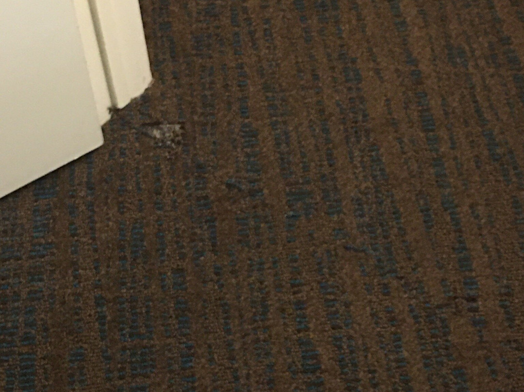 Residence Inn By Marriott Wichita East At Plazzio主图