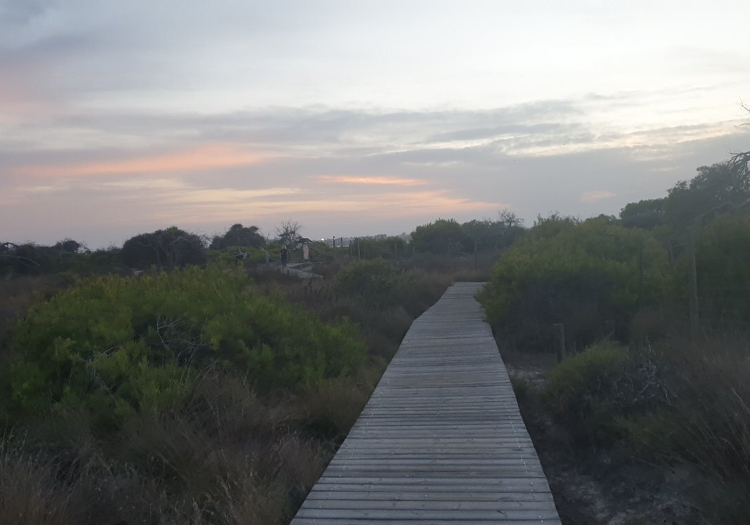 Playa de la Torre Derribada-San Pedro del Pinatar必去景点