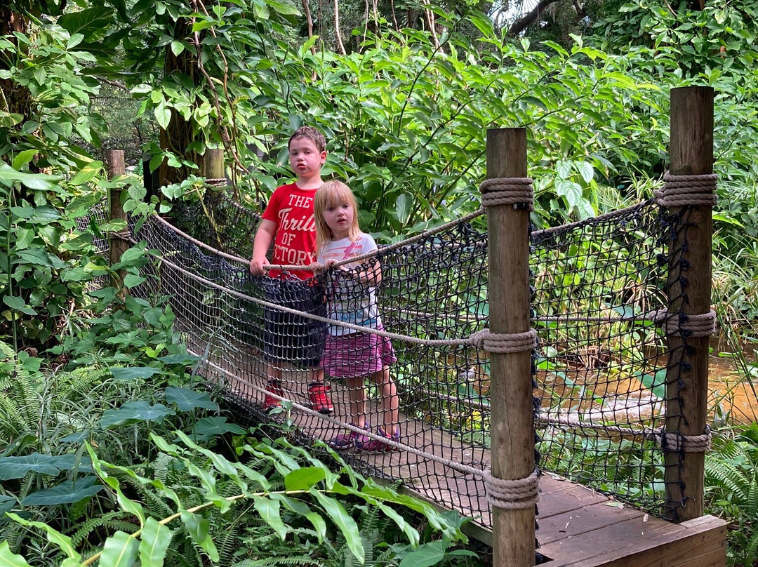 Sarasota Children's Garden景点图片