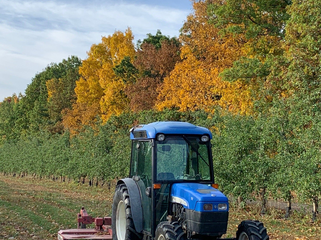 Reisinger's Apple Country-沃特金斯格伦必去景点