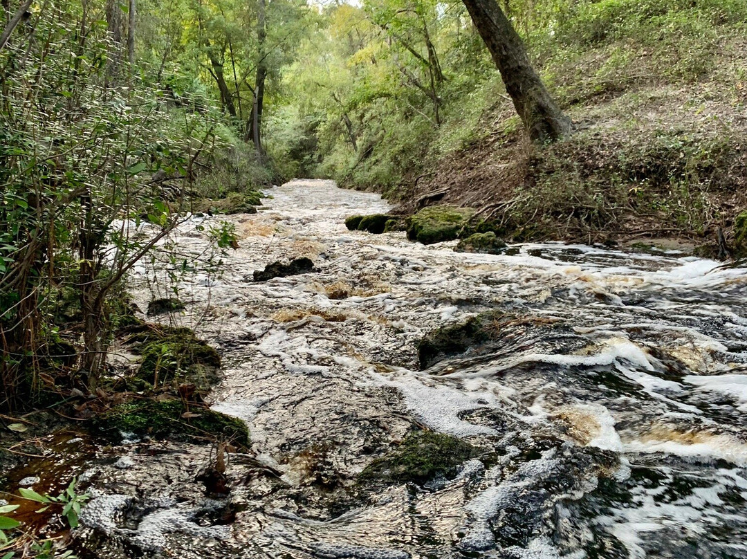 Falling Creek Falls景点图片