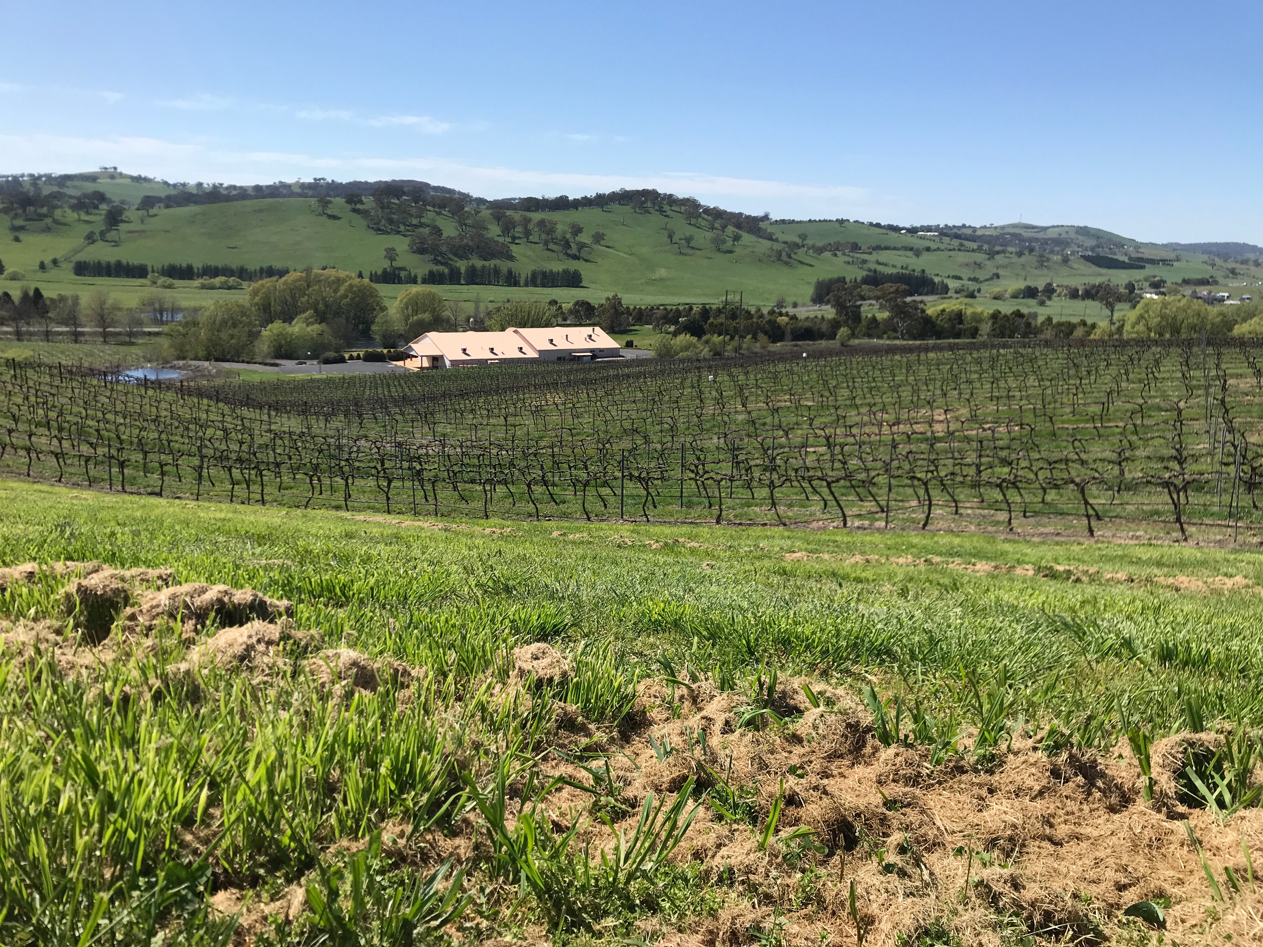 Turner's Vineyard-酒店景观
