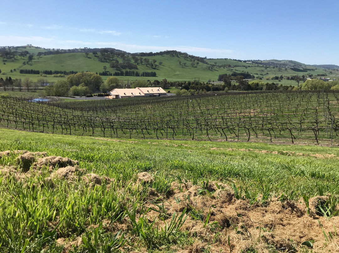 Turner's Vineyard主图