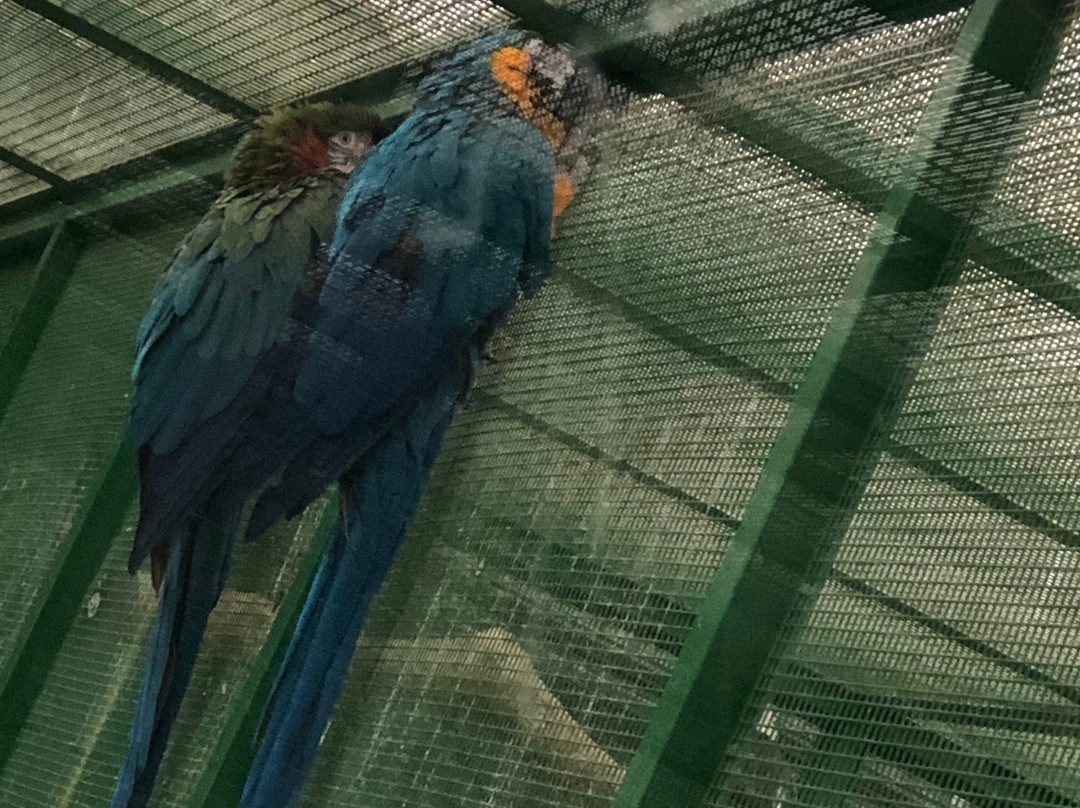 Toni's Zoo-Rothenburg必去景点