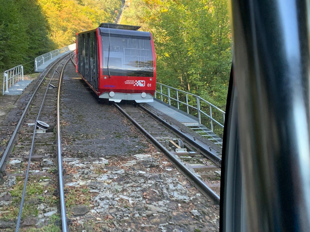 Mendelbahn景点图片