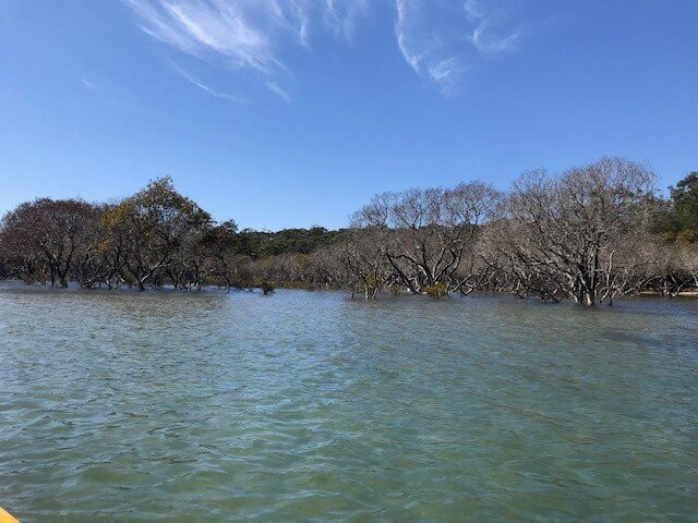 Bundeena Kayaks in Sydney景点图片