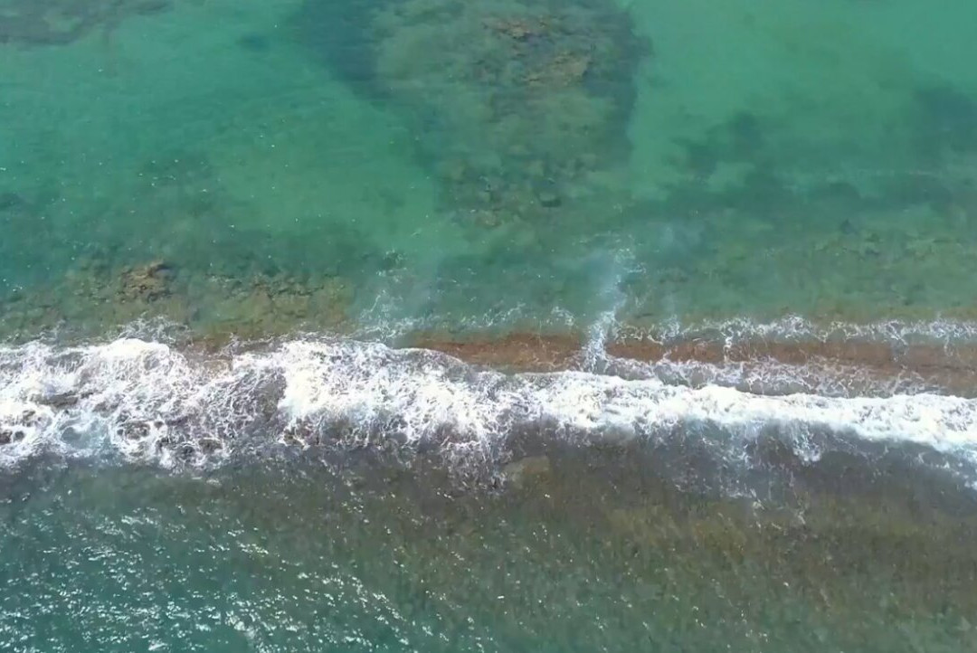 Dorado Reef Beach景点图片