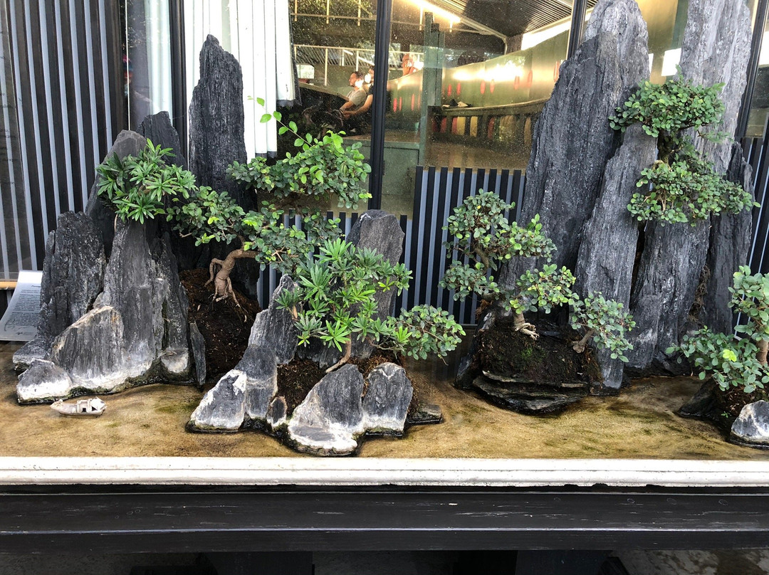 Crespi Bonsai-帕拉比亚戈必去景点