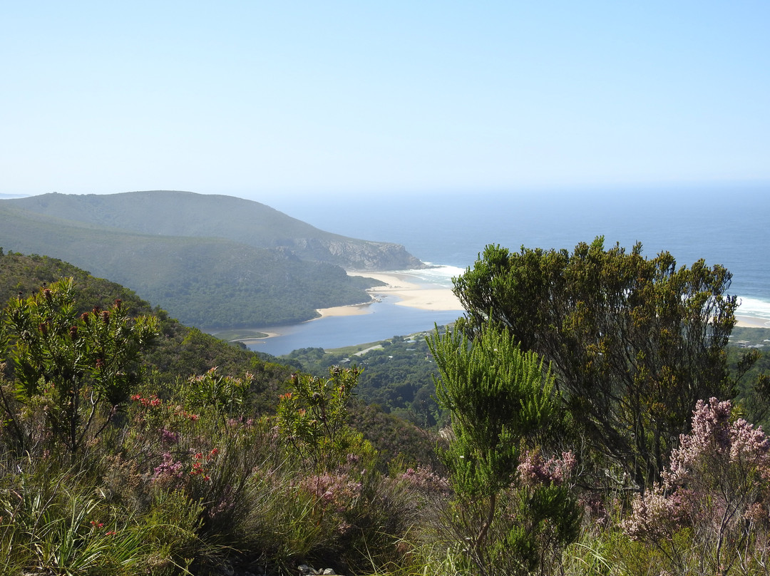 Natures Valley Beach-自然谷必去景点