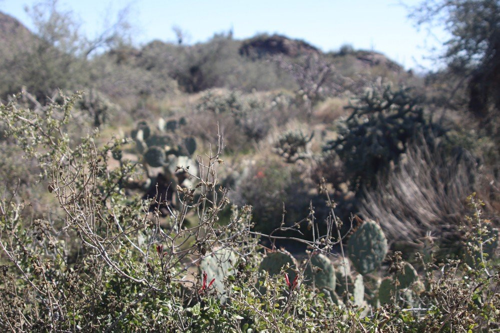 Wild Burro Trail-马拉纳必去景点
