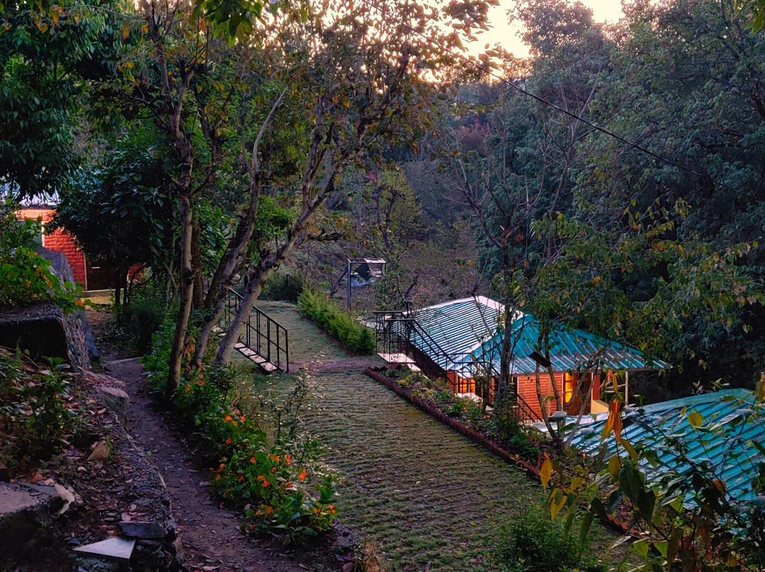 Incredible Birding Camp Sattal India