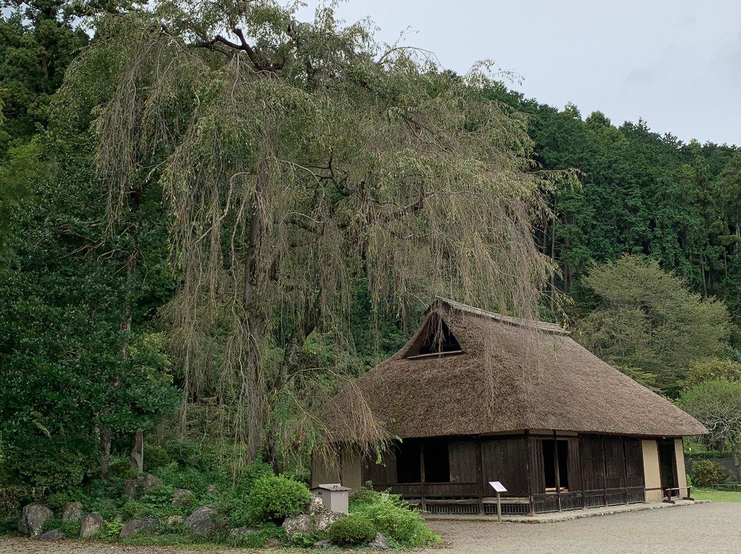 Koma Shrine-日高市必去景点