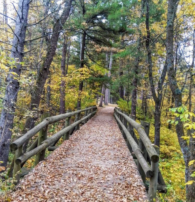 Wilderness Drive-Lake Itasca必去景点