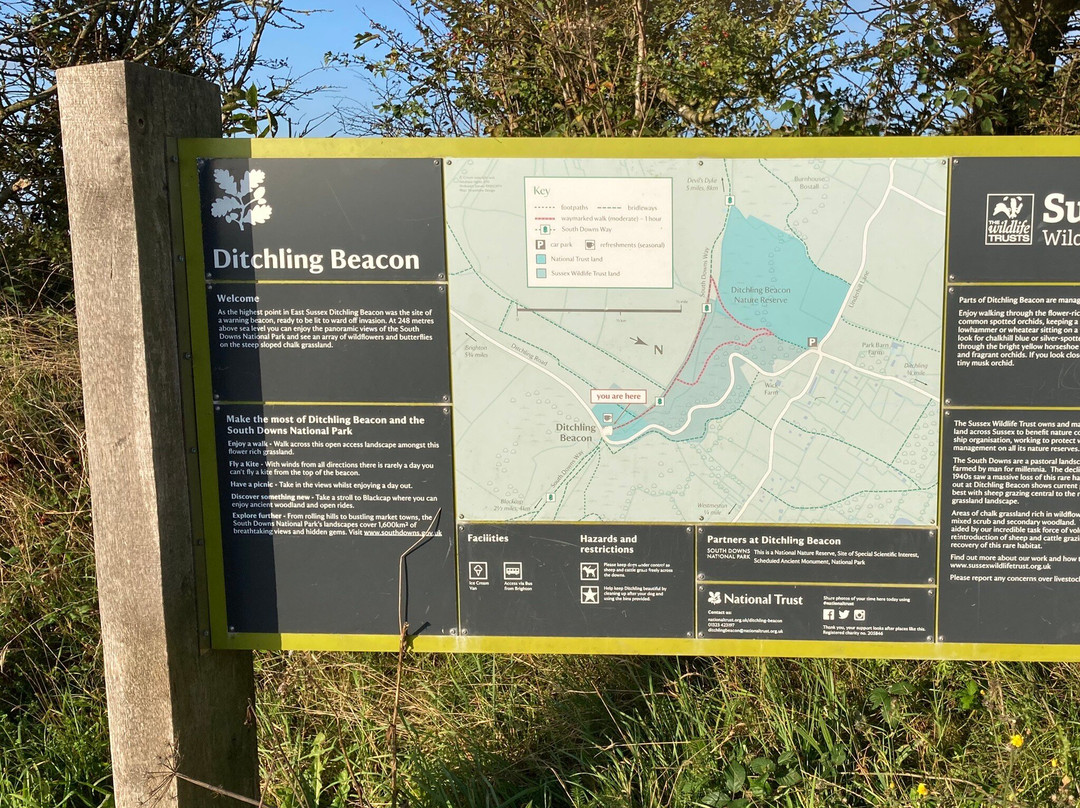 Ditchling Beacon景点图片
