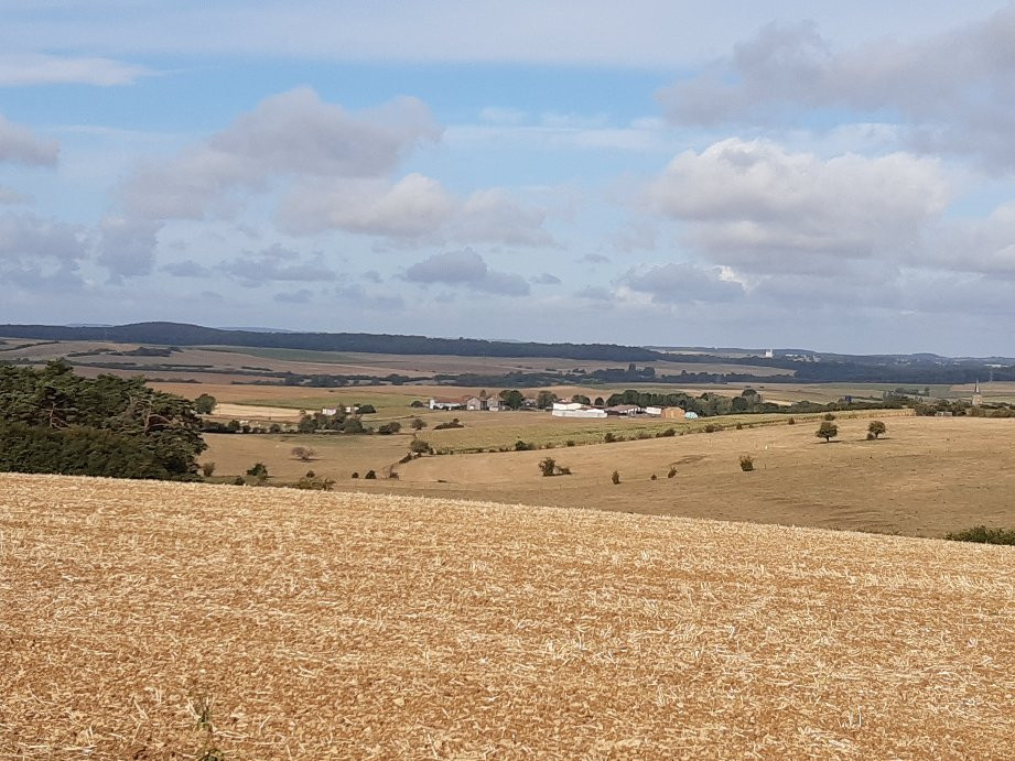Ecuries Du Railly-Rouvrois-sur-Othain必去景点