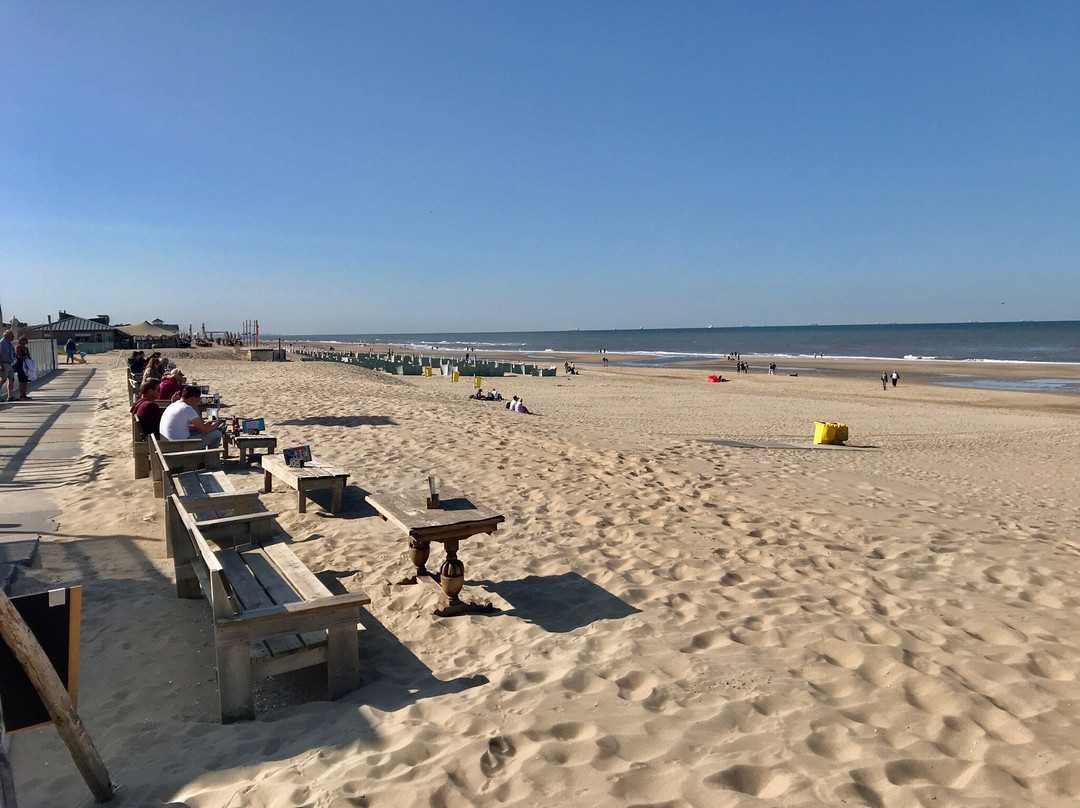 Strand Van Noordwijk-诺德韦克必去景点