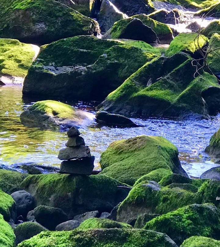 Interstate Falls-Ironwood必去景点