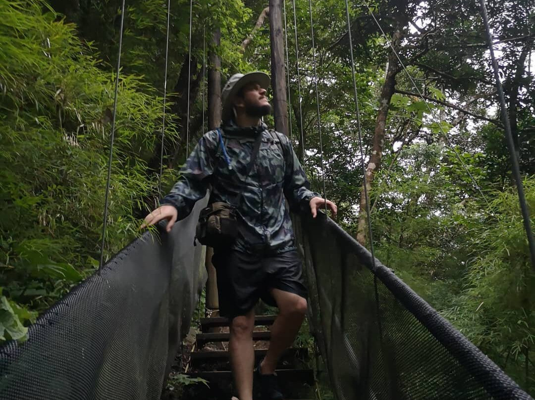 Oropendola Warterfall景点图片