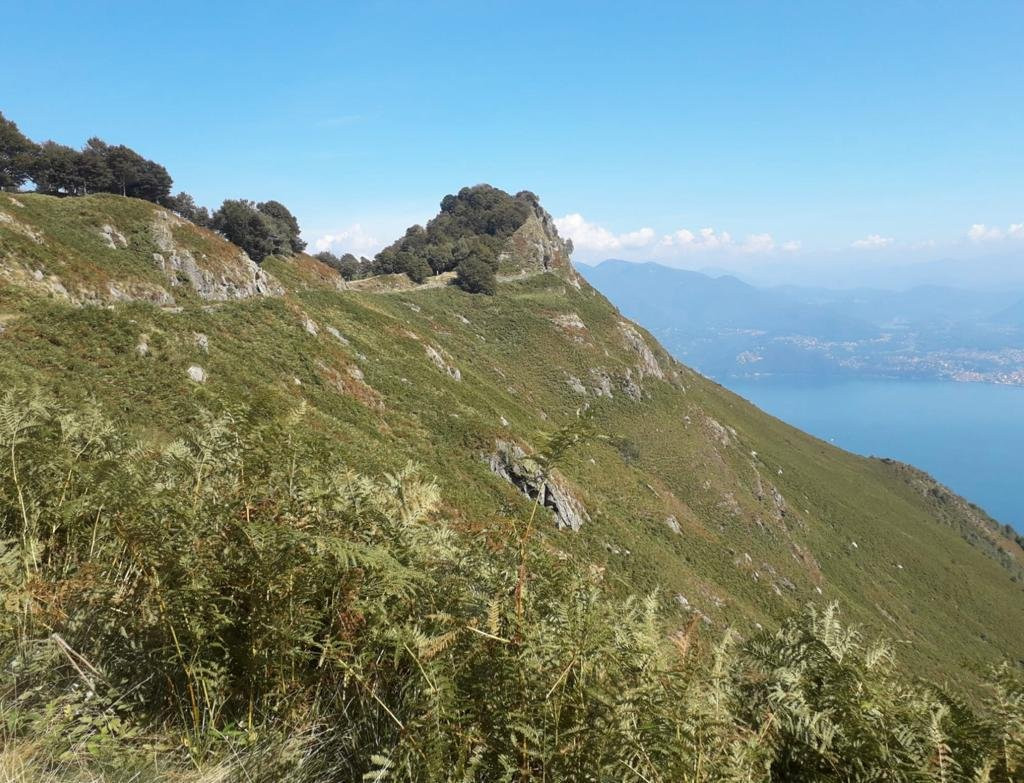 Fortificazioni del Monte Morissolo景点图片