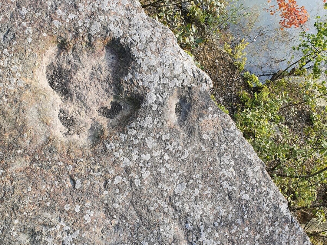 Dinosaur tracks-Obernkirchen必去景点