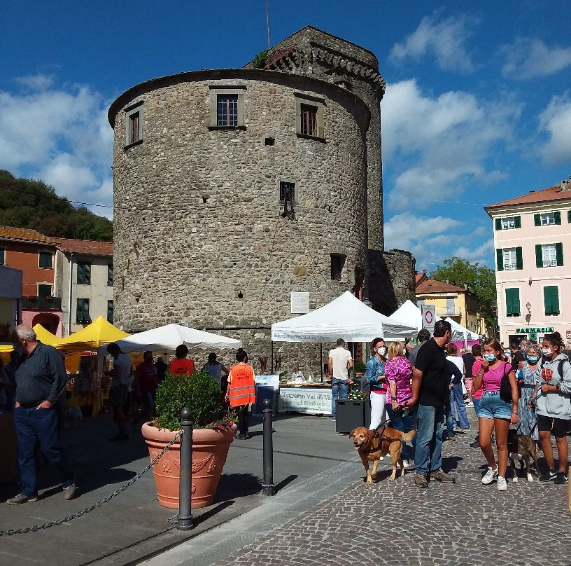 Castello Fieschi - Borgo Rotondo景点图片