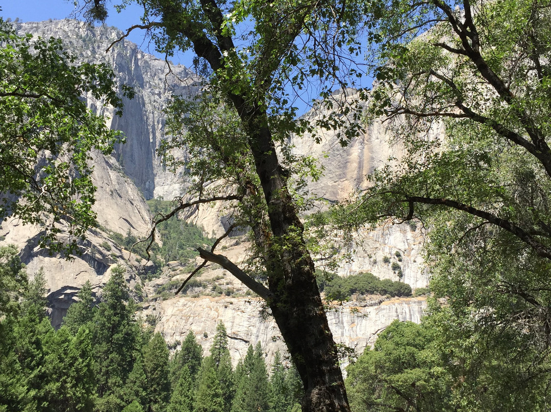 Cooks Meadow Loop-优胜美地国家公园必去景点