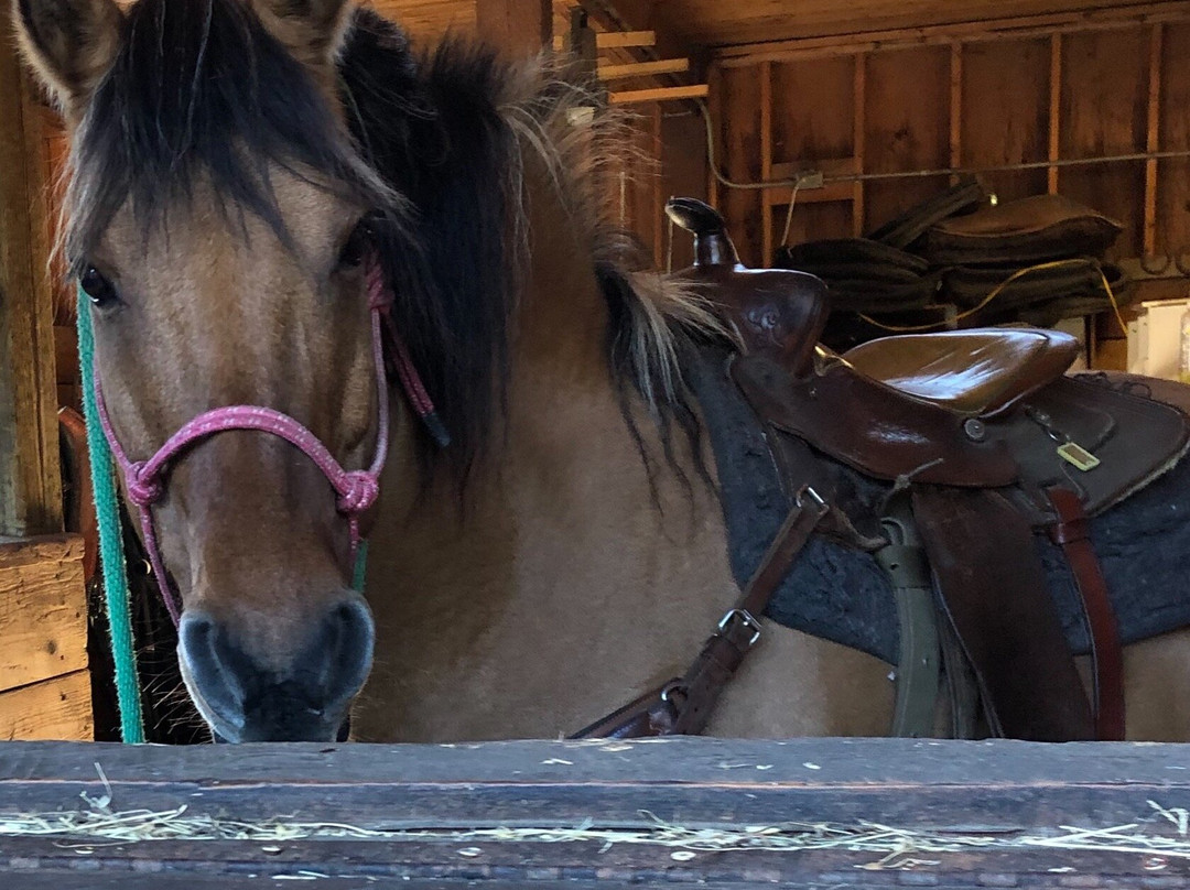 传统农场-红鹿市必去景点