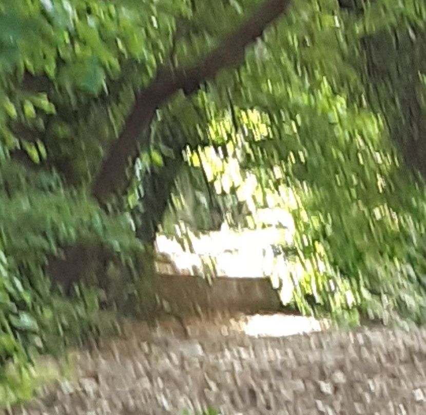 The Byes Riverside Park-西德茅斯必去景点
