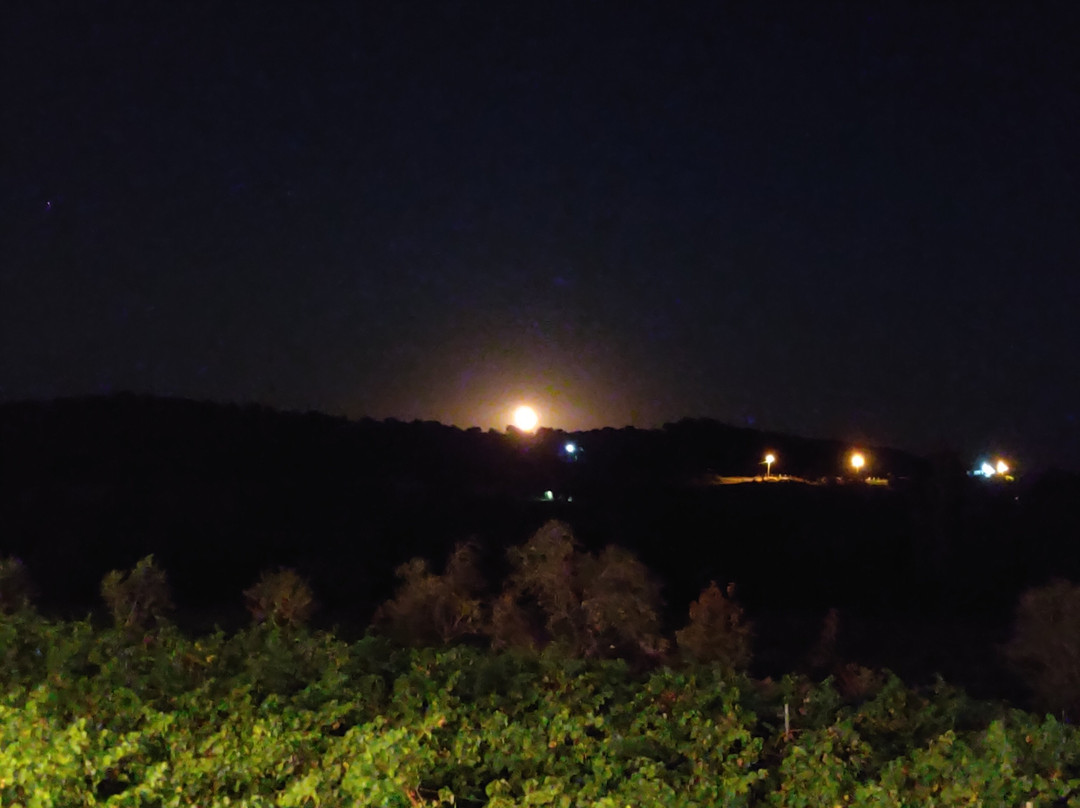 Dessera Bağ Evi主图