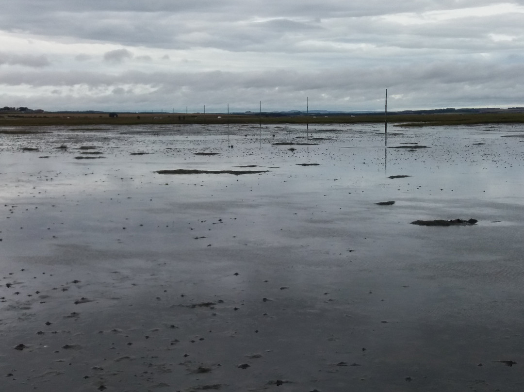 Footsteps - Walking the beauty of Northumberland景点图片
