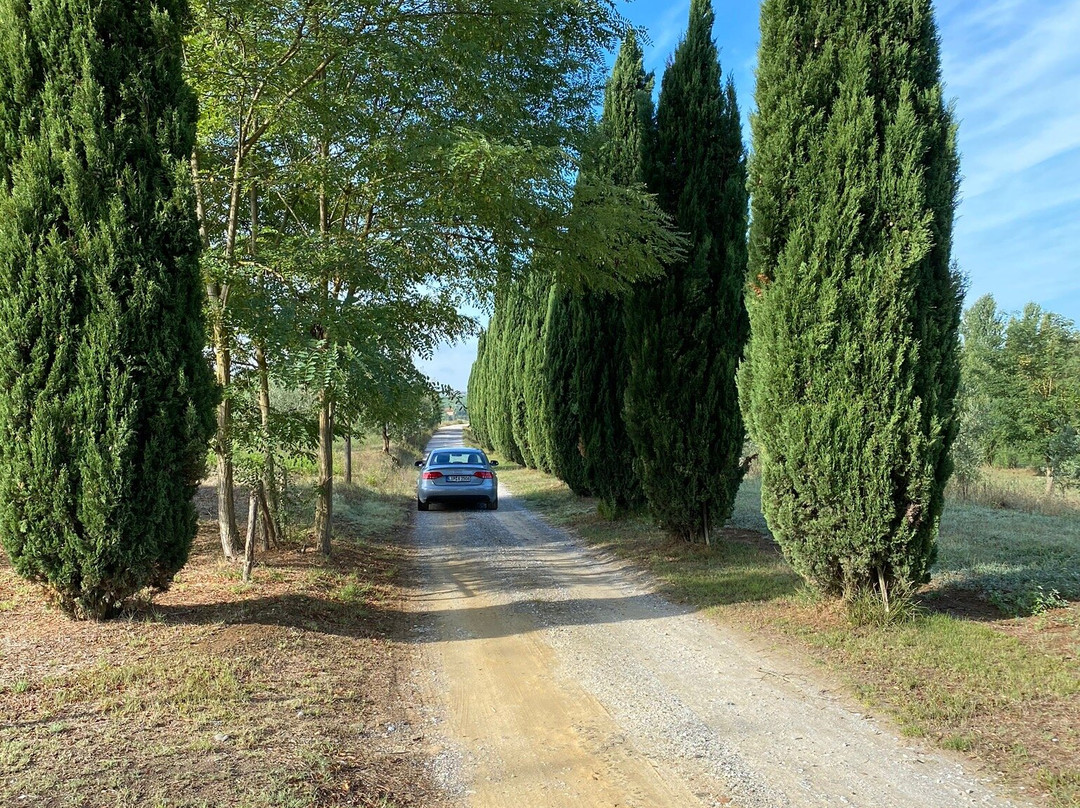 Palma's Country B&B主图