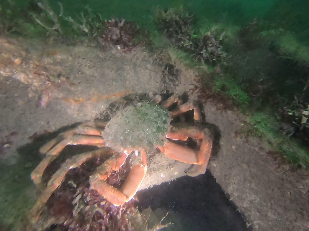 In Deep Dive Centre-普利茅斯必去景点